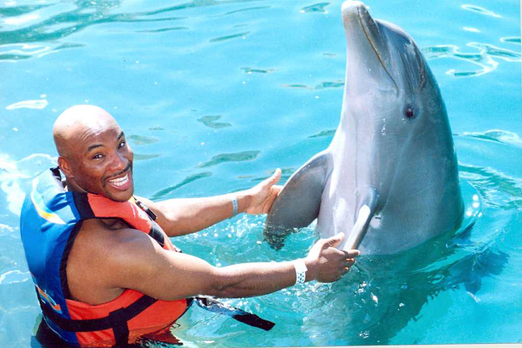 Dolphin Encounter in Puerto Aventuras - Photo 9