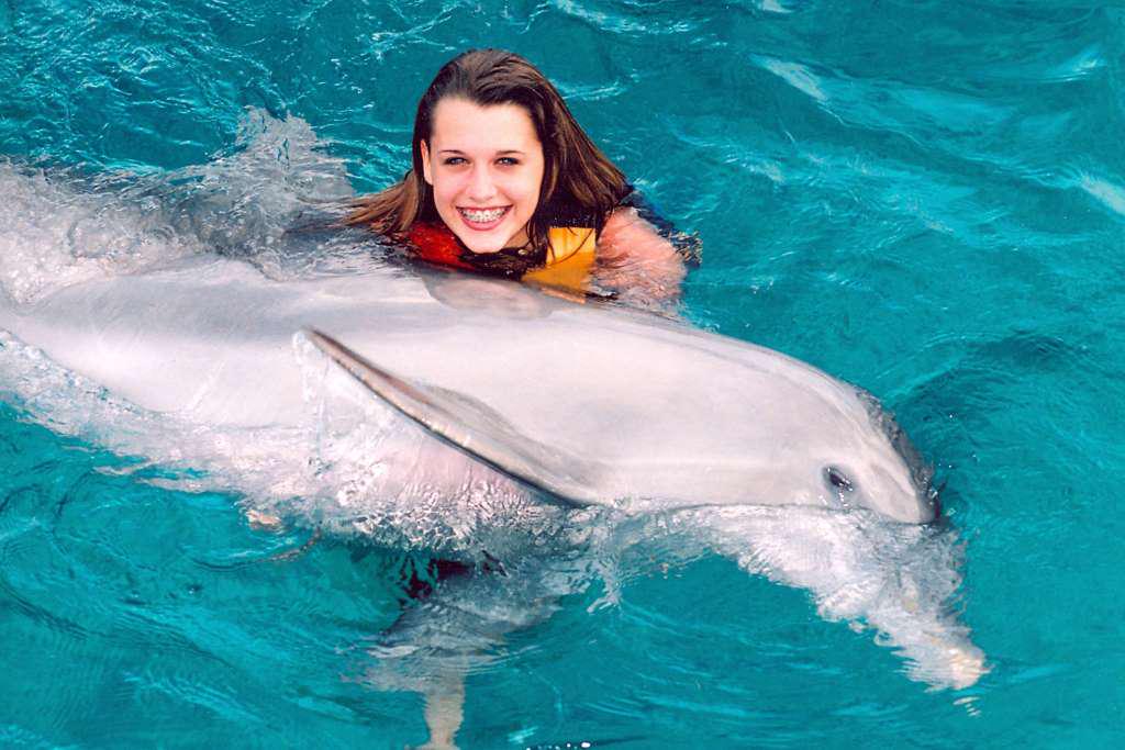 Dolphin Encounter in Puerto Aventuras - Photo 10