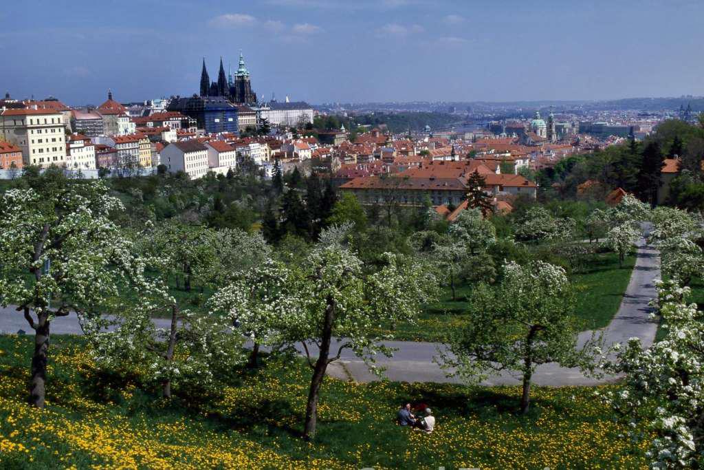 Prague Grand City Tour and Changing of the Guard - Photo 9