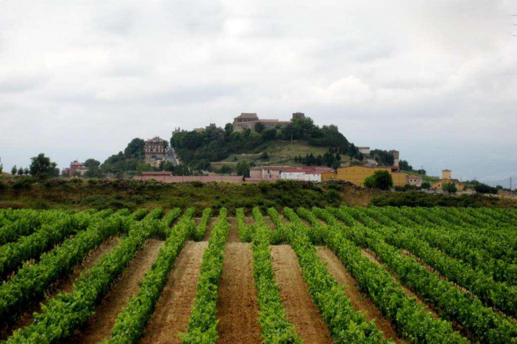 La Rioja e suas vinícolas - Photo 2