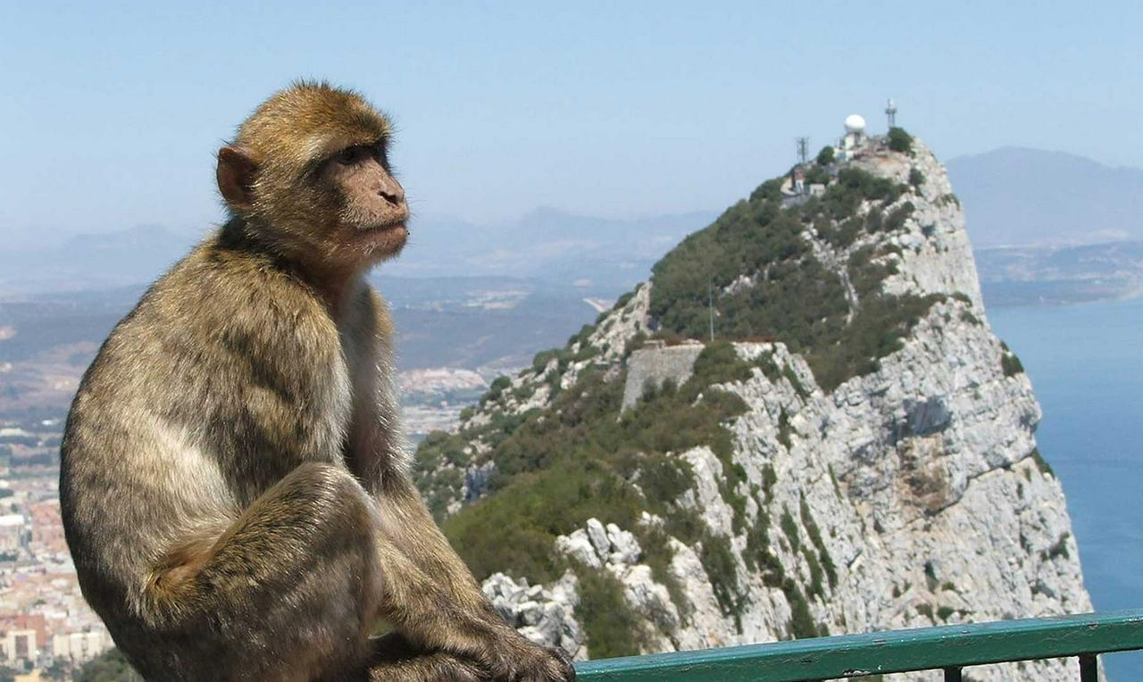 Passeio por Gibraltar - Photo 13