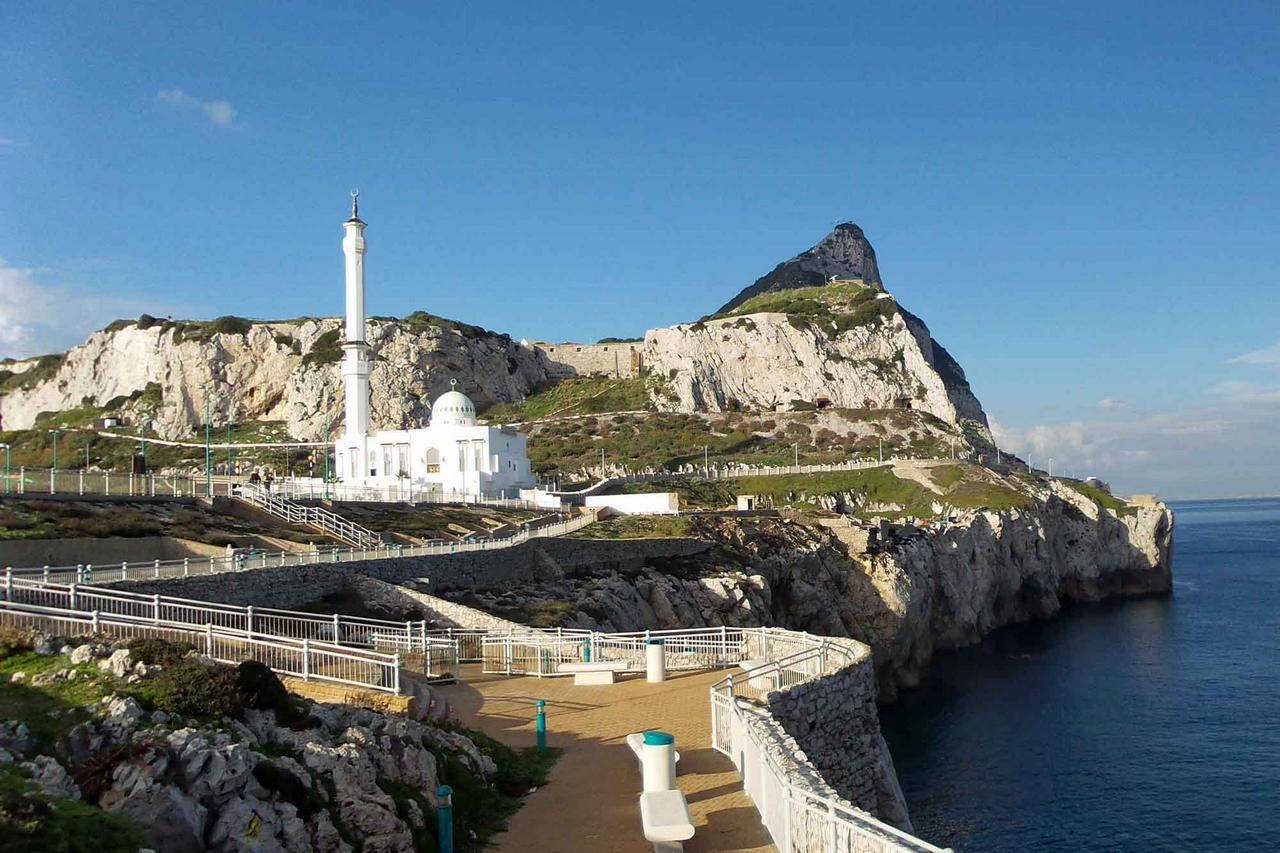 Golfinhos em Gibraltar - Photo 8