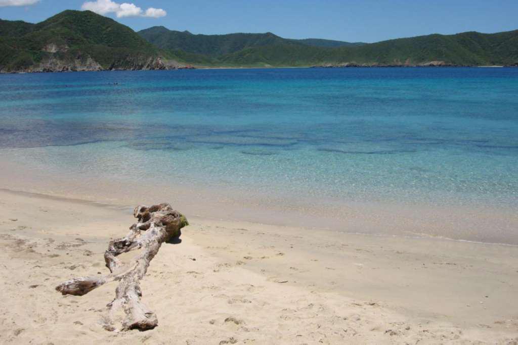Parque Tayrona - Dia em Crystal Beach - Photo 4