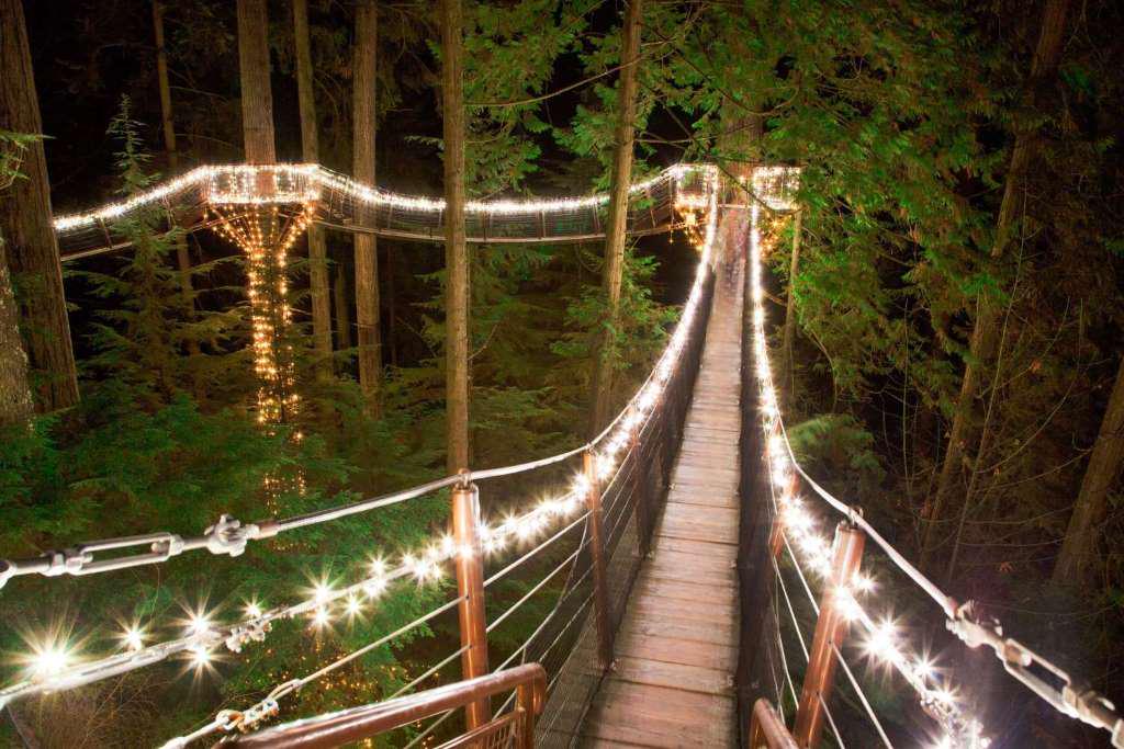 Vancouver Tour, Capilano Suspension Bridge, and Canyon Lights - Photo 4