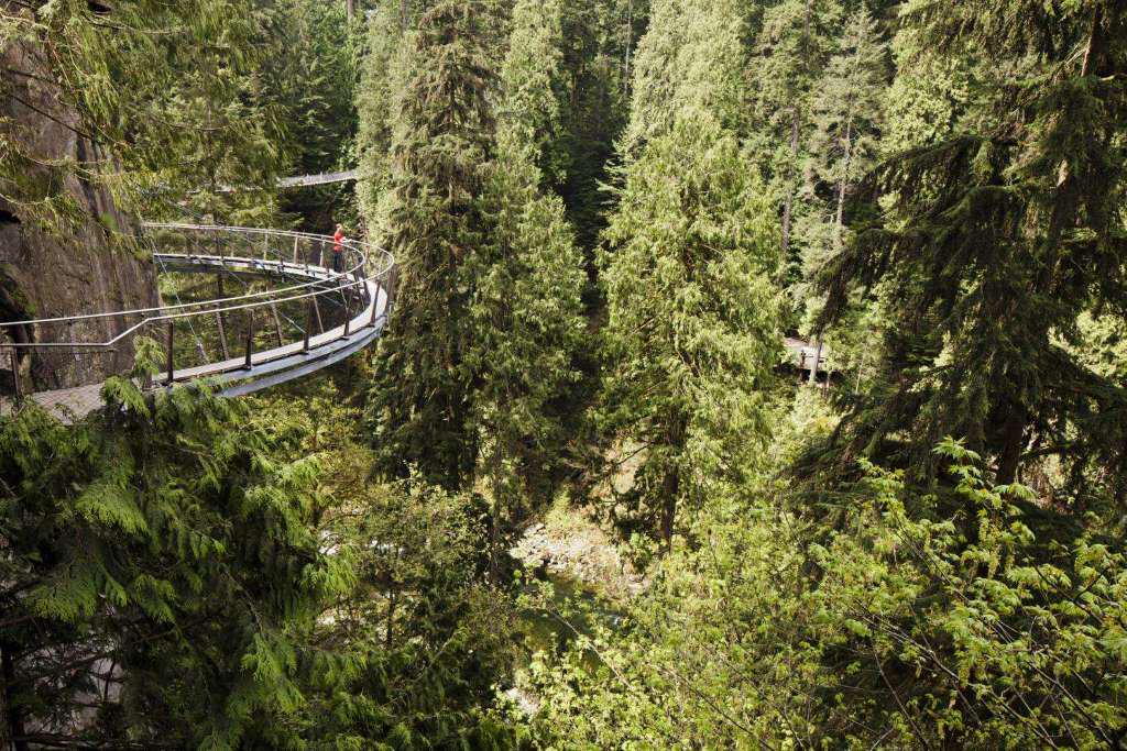 Vancouver Tour, Capilano Suspension Bridge, and Canyon Lights - Photo 5