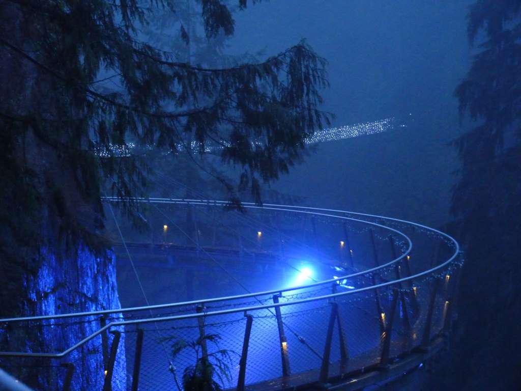 Vancouver Tour, Capilano Suspension Bridge, and Canyon Lights - Photo 6