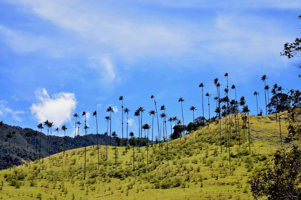 Tour Image 1
