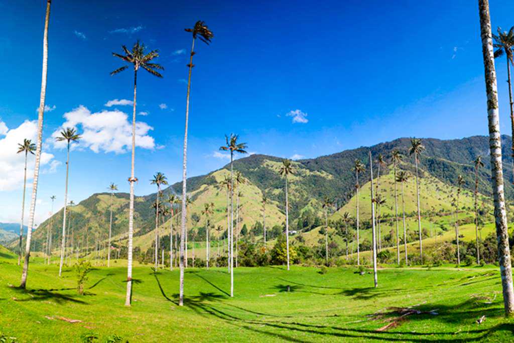 Tour Image 2