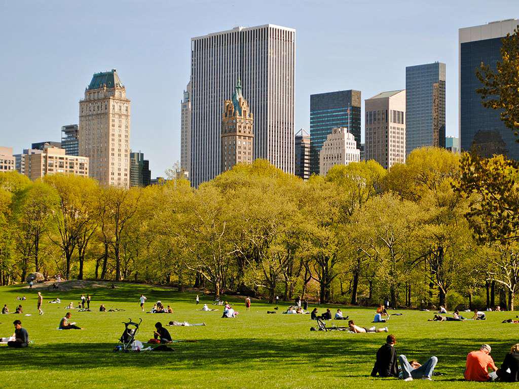 Upper and Lower Manhattan - Photo 5