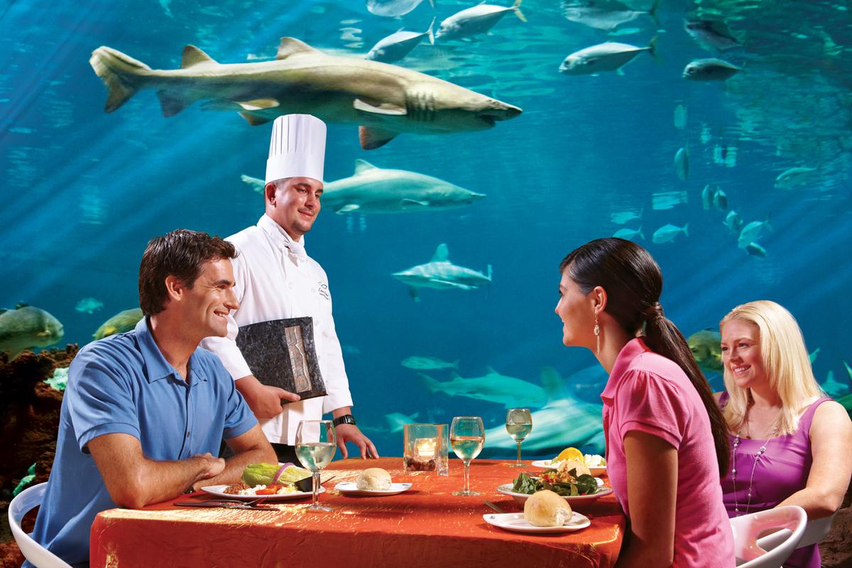 SeaWorld Orlando Parks - Tickets - Photo 7