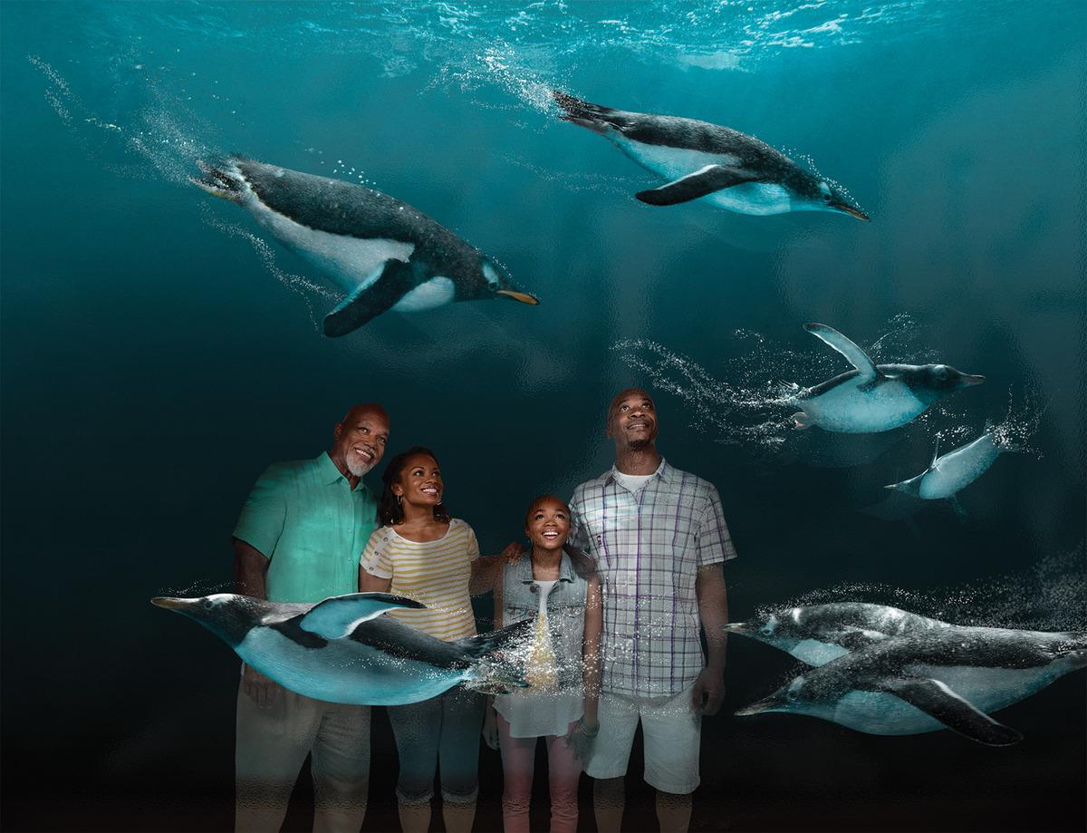 SeaWorld Orlando Parks - Tickets - Photo 21