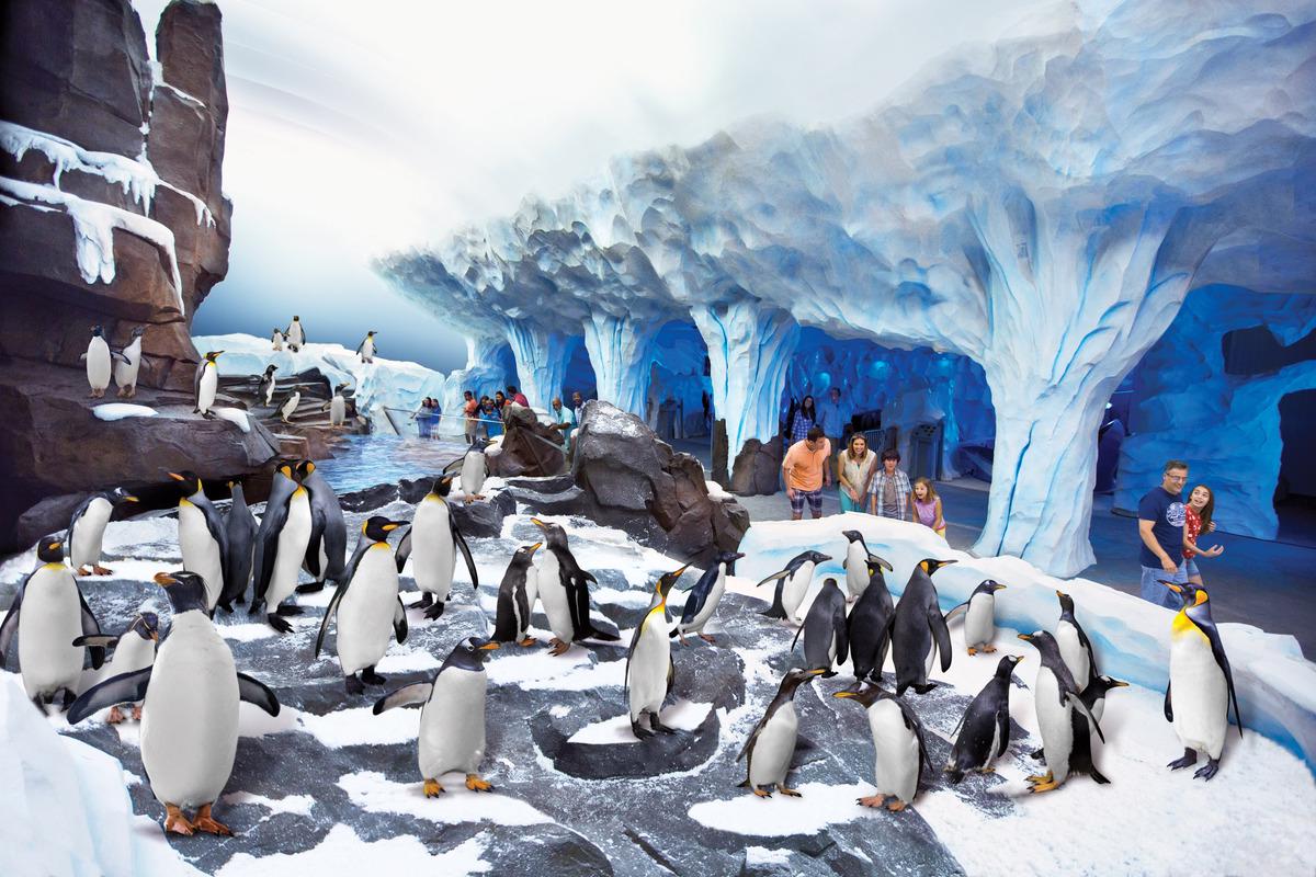 SeaWorld Orlando Parks - Tickets - Photo 22