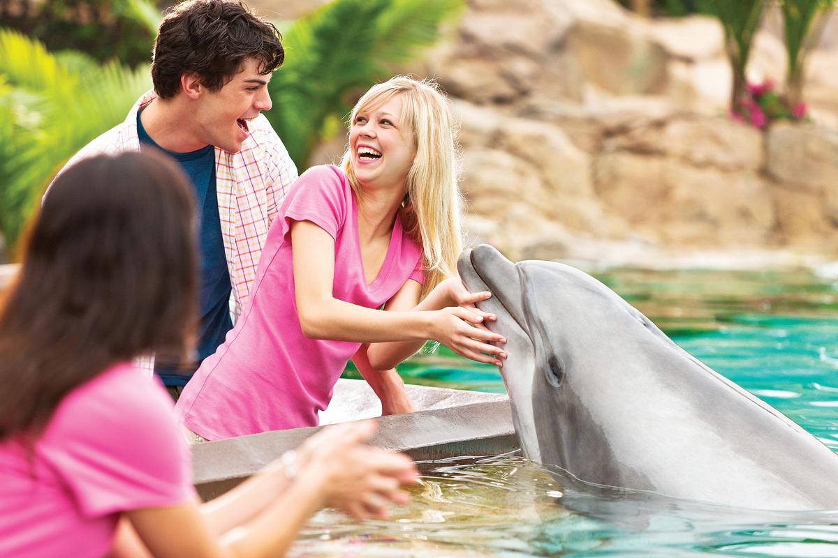 SeaWorld Orlando Parks - Tickets - Photo 24