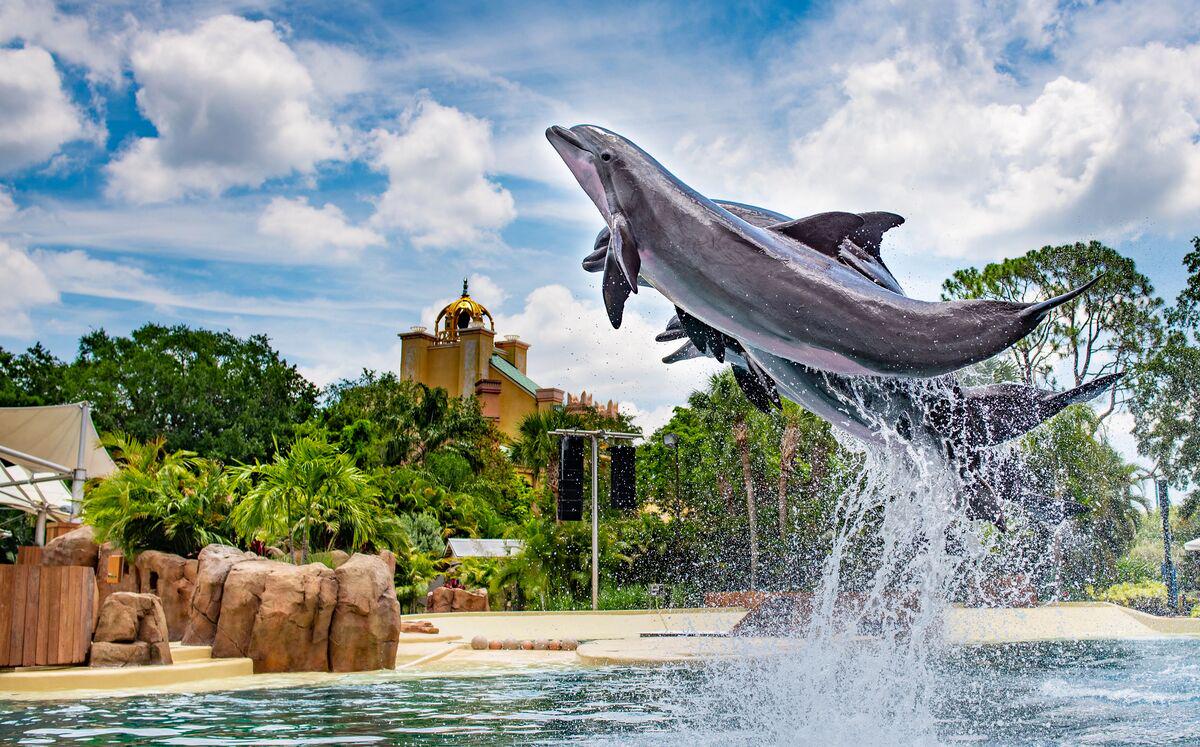 SeaWorld Orlando Parks - Tickets - Photo 27
