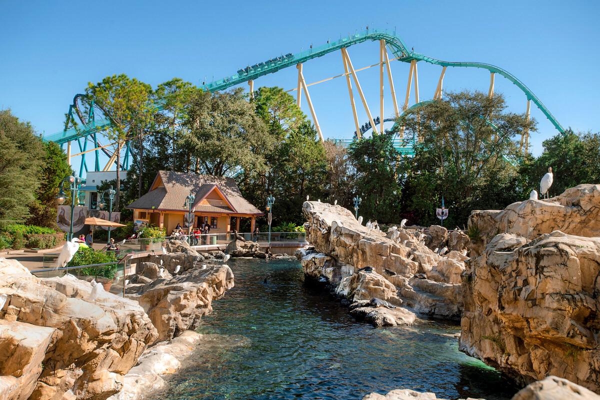 SeaWorld Orlando Parks - Tickets - Photo 32
