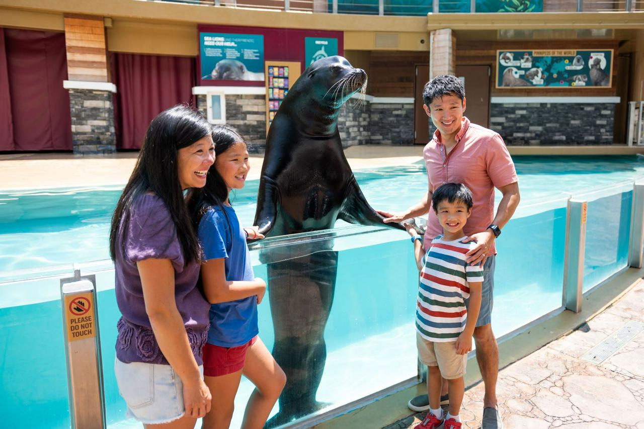 SeaWorld Orlando Parks - Tickets - Photo 40