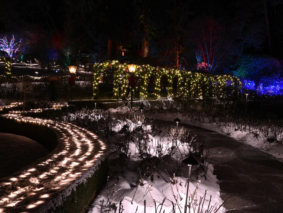 Passeio de Natal pela cidade de Victoria e Jardins Butchart - Photo 6