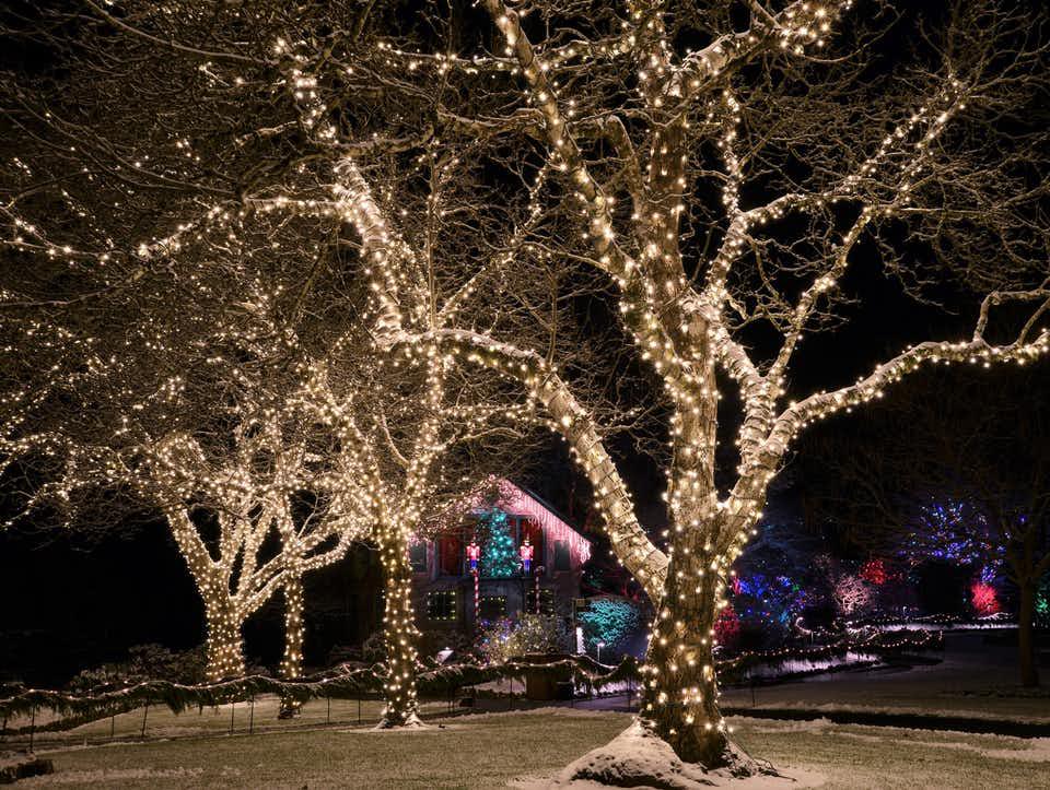 Passeio de Natal pela cidade de Victoria e Jardins Butchart - Photo 8