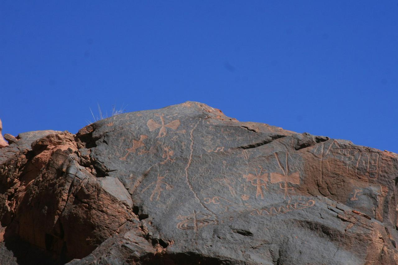 From San Juan: explore Talampaya National Park - Photo 11