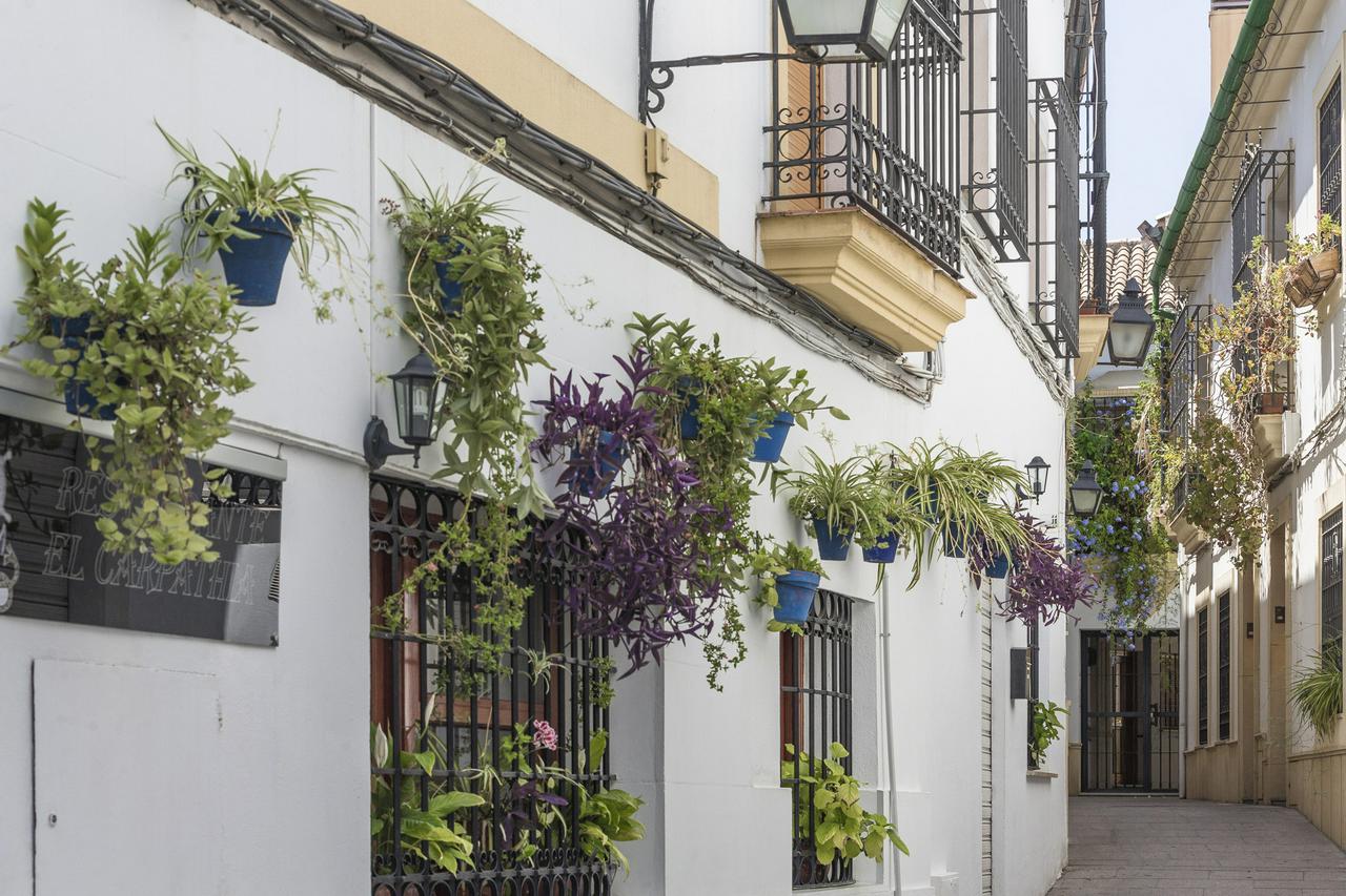 Córdoba, Cidade de Caliphal - Photo 2