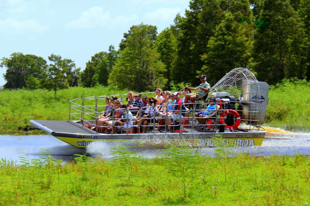 Ultimate Hovercraft Tour in Wild Florida - Photo 2