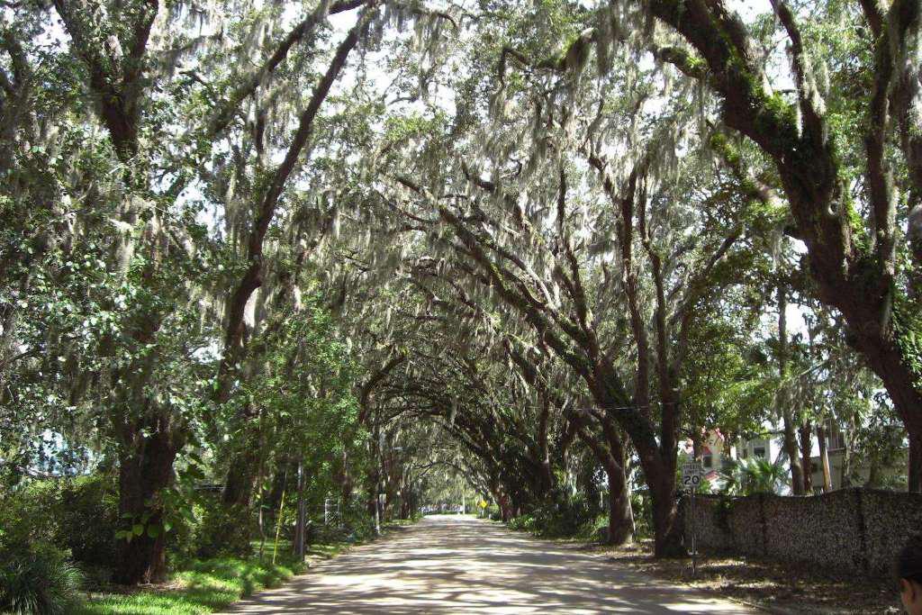 Full-Day Tour of St. Augustine - Photo 9