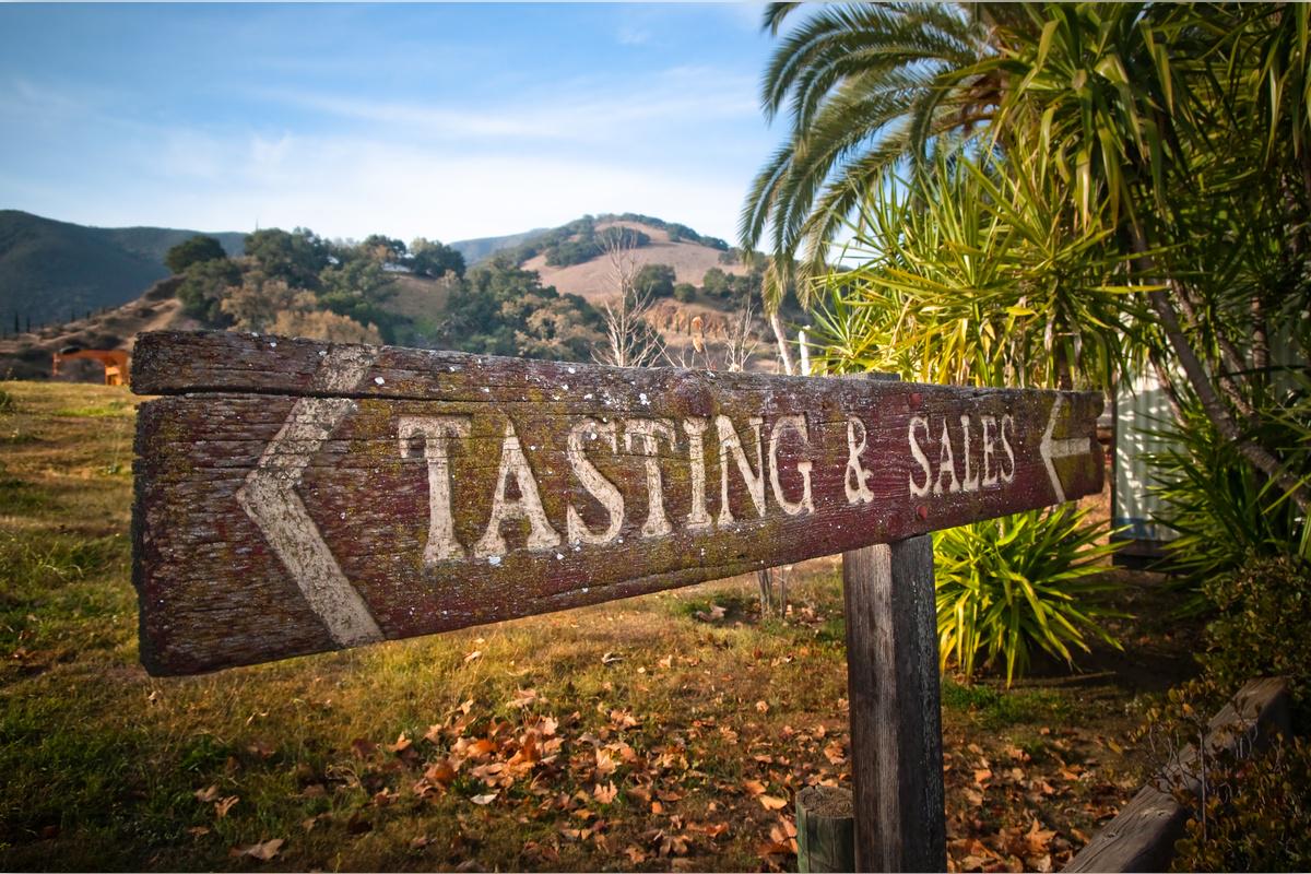 Napa and Sonoma Wine Tour - Photo 6