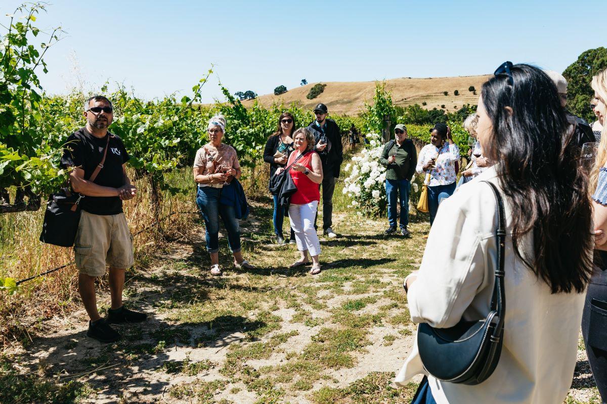 Napa and Sonoma Wine Tour - Photo 8