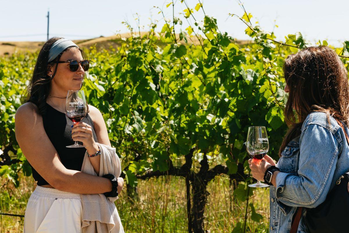 Napa and Sonoma Wine Tour - Photo 11