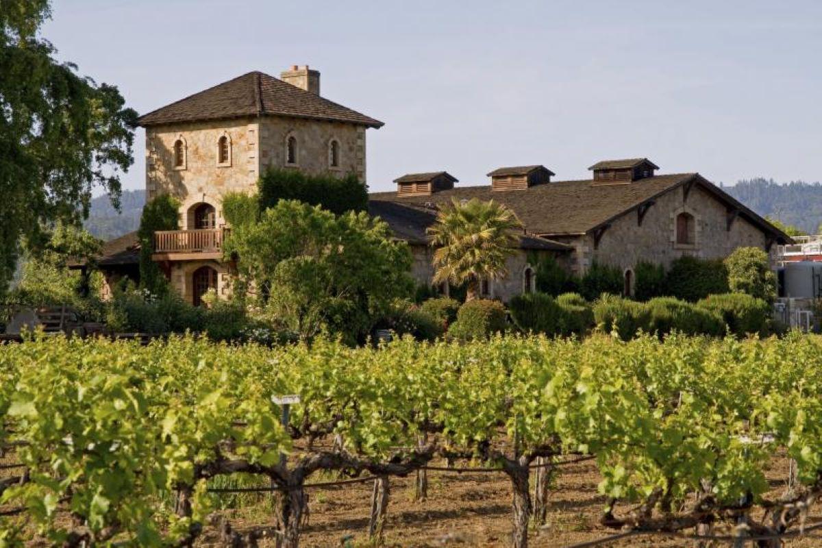 Napa and Sonoma Wine Tour - Photo 21