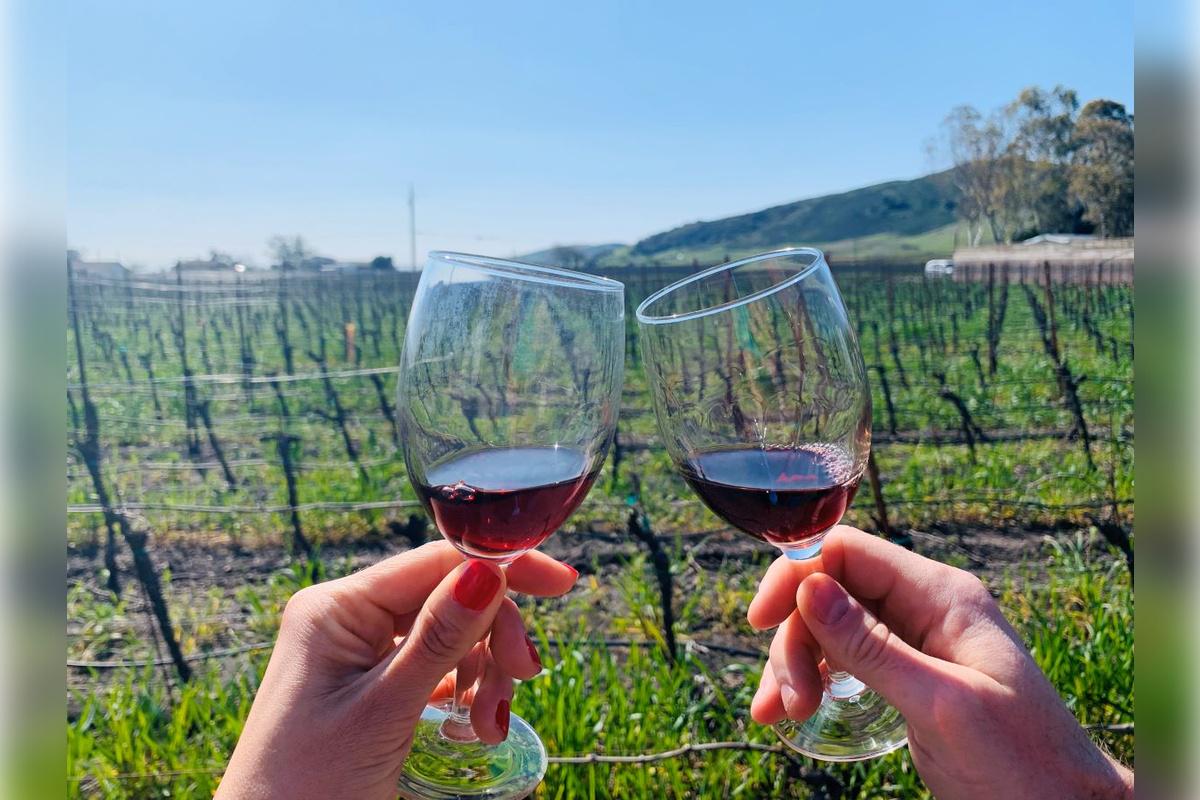 Napa and Sonoma Wine Tour - Photo 28