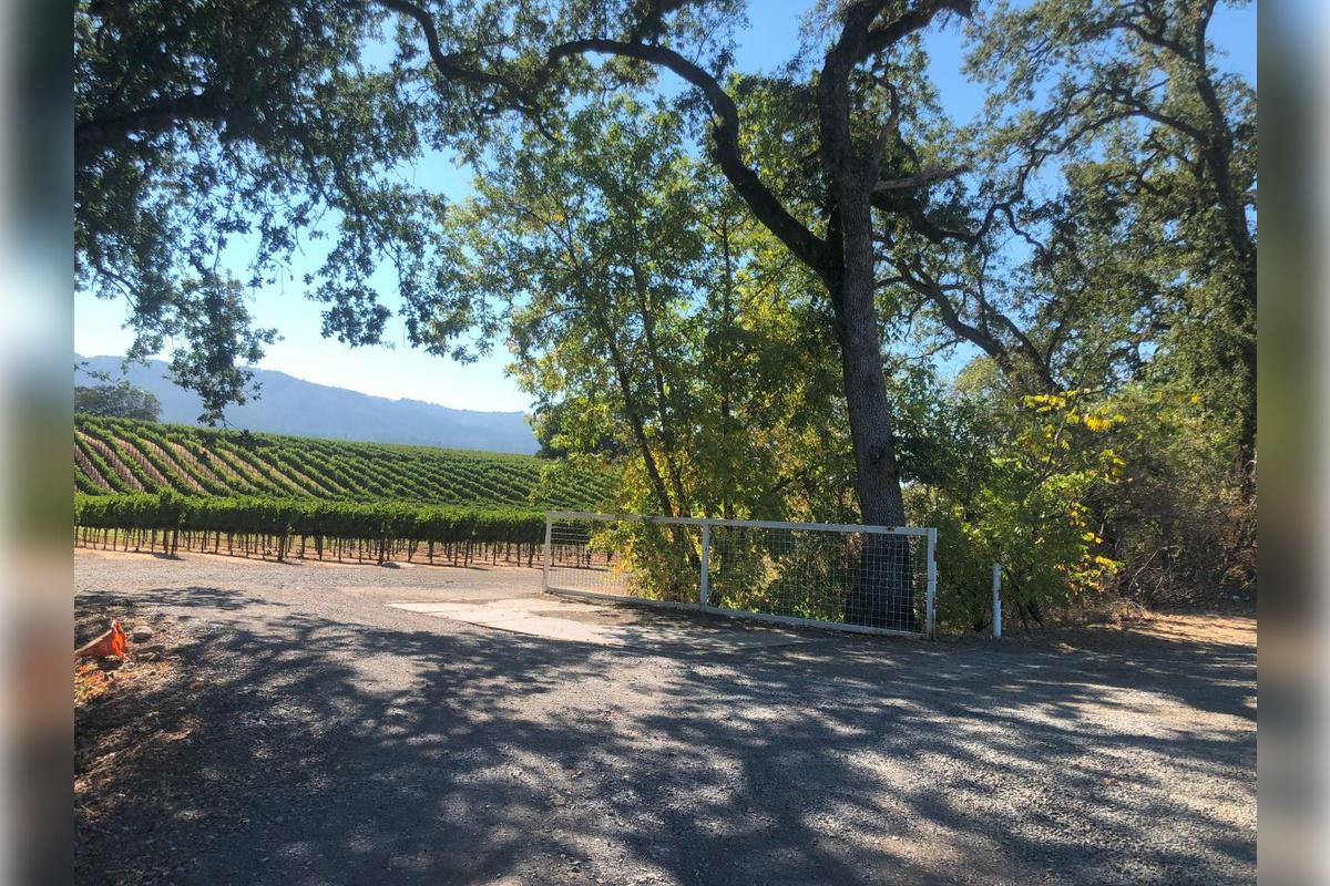 Napa and Sonoma Wine Tour - Photo 29