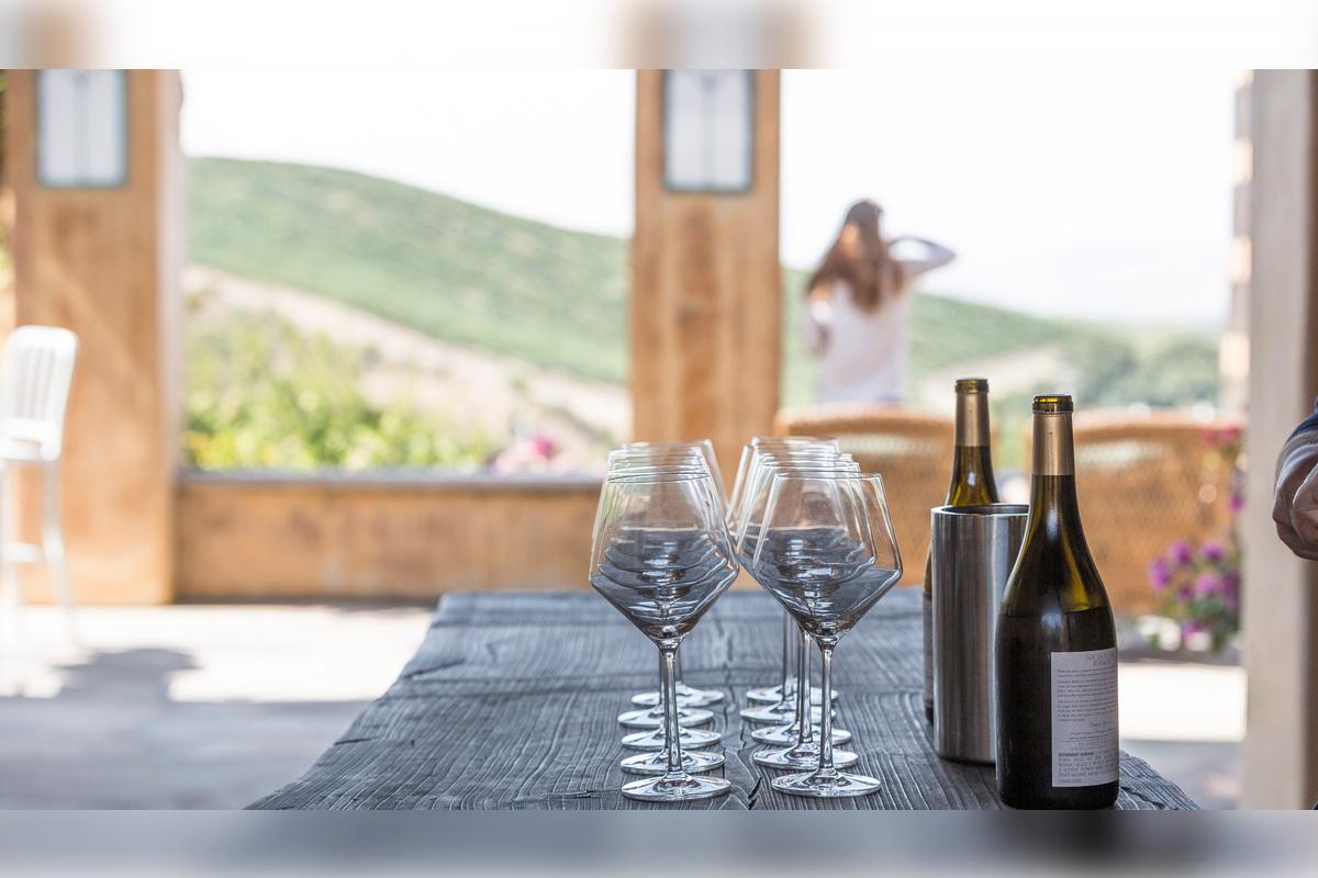 Napa and Sonoma Wine Tour - Photo 43