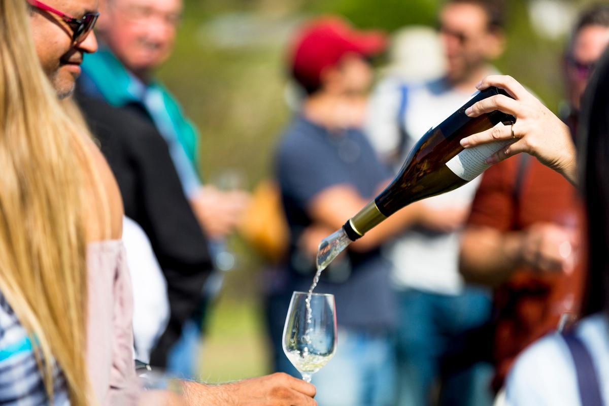 Napa and Sonoma Wine Tour - Photo 44