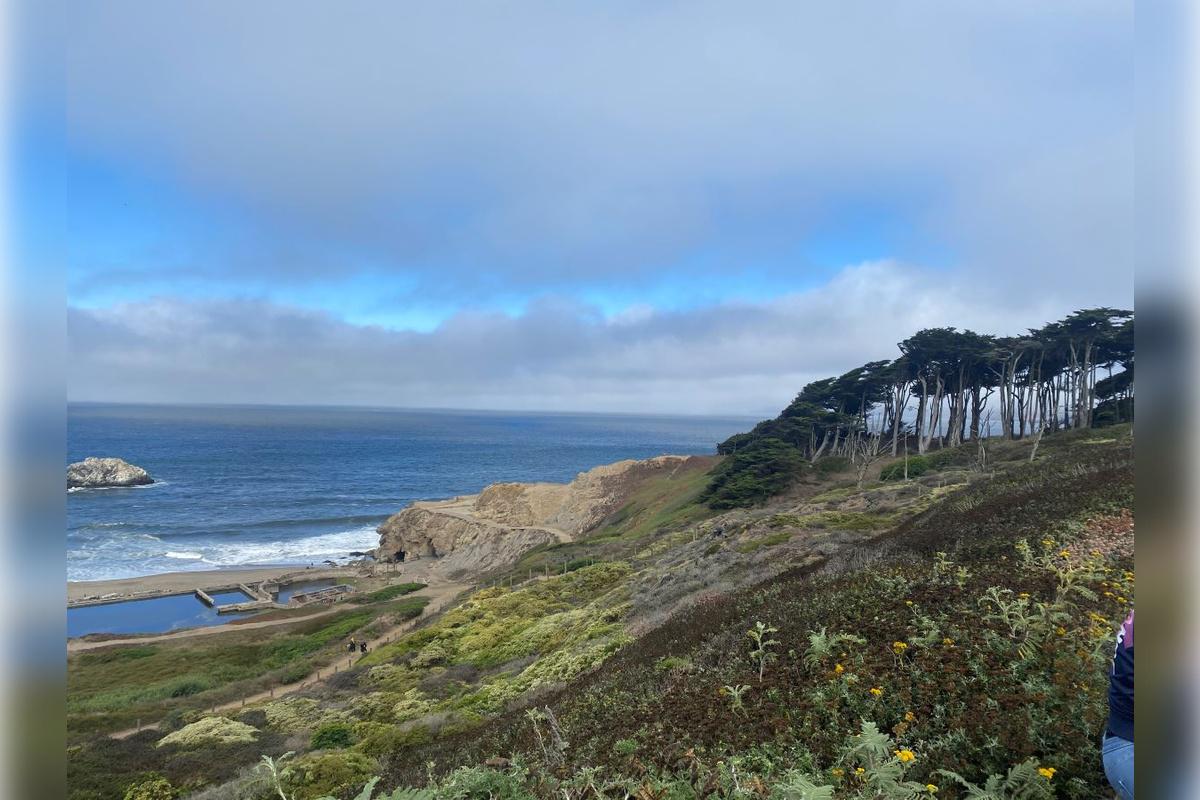 San Francisco City Tour with a Visit to the Aquarium of the Bay - Photo 8