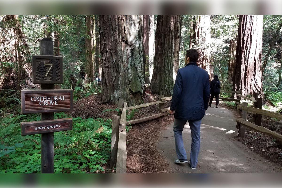 Muir Woods e Sausalito - Tour de meio dia - Photo 8