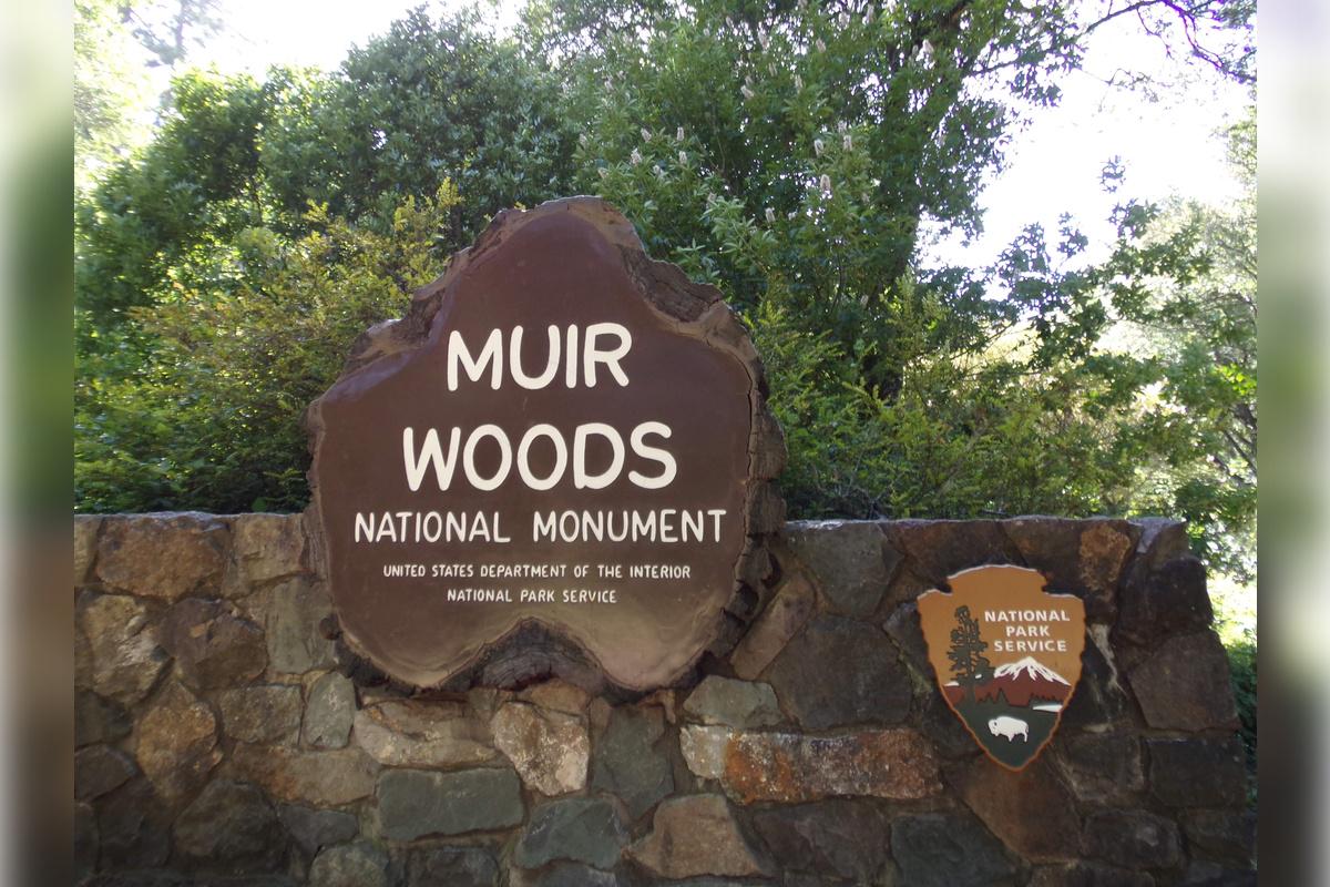 Muir Woods e Sausalito - Tour de meio dia - Photo 15