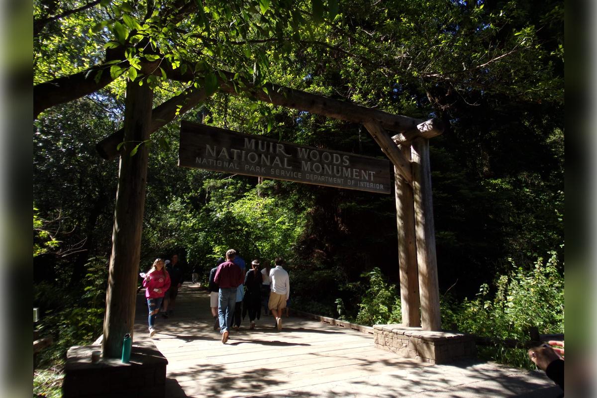 Muir Woods e Sausalito - Tour de meio dia - Photo 23