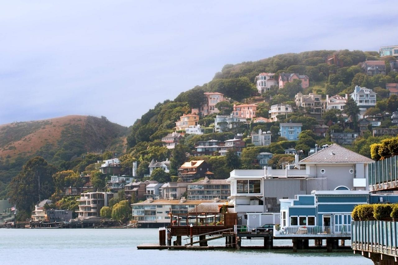 Muir Woods and Sausalito with Bay Cruise - Photo 4