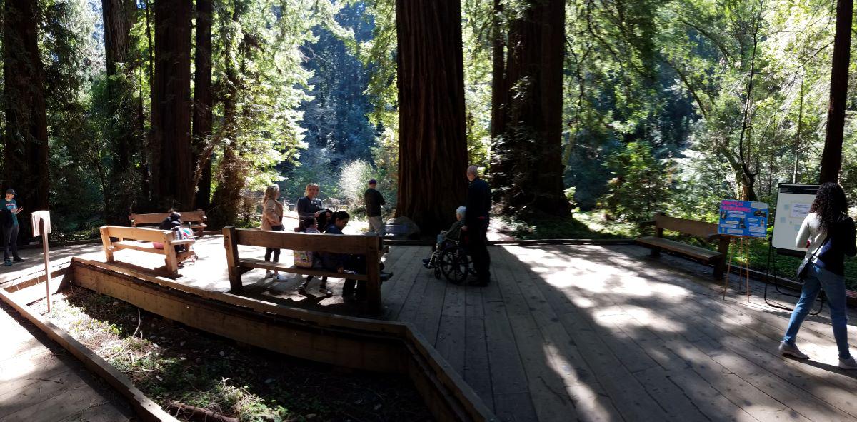 Muir Woods and Sausalito with Bay Cruise - Photo 9