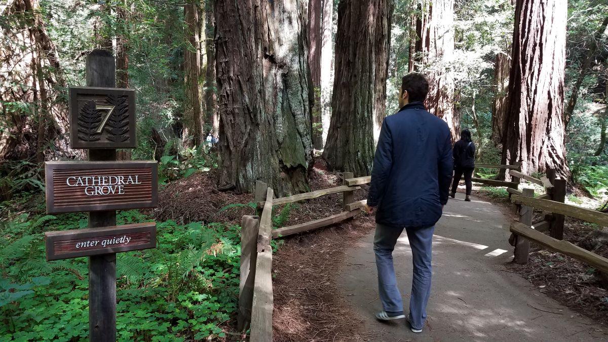 Muir Woods and Sausalito with Bay Cruise - Photo 16
