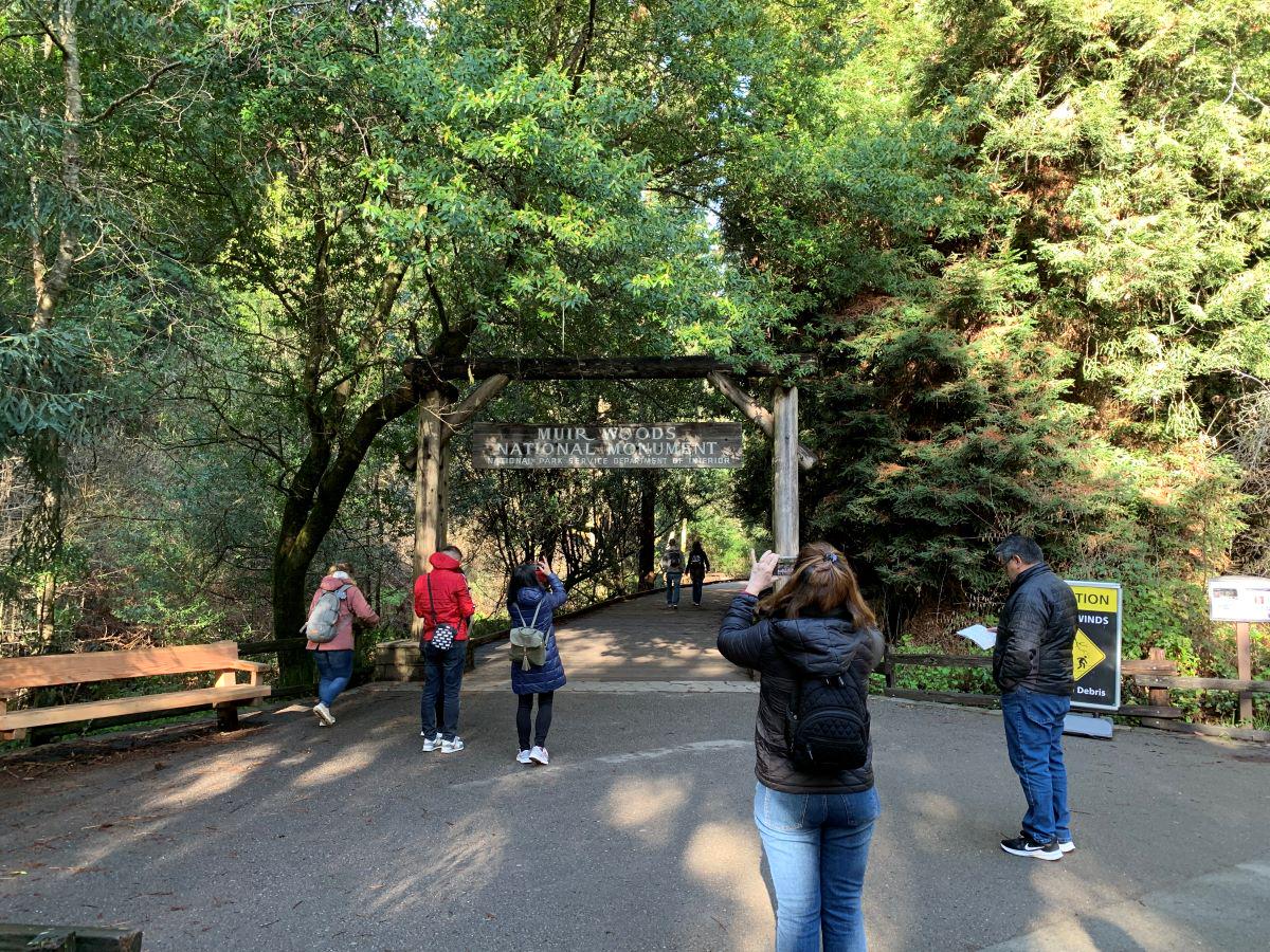 Muir Woods and Sausalito with Bay Cruise - Photo 21