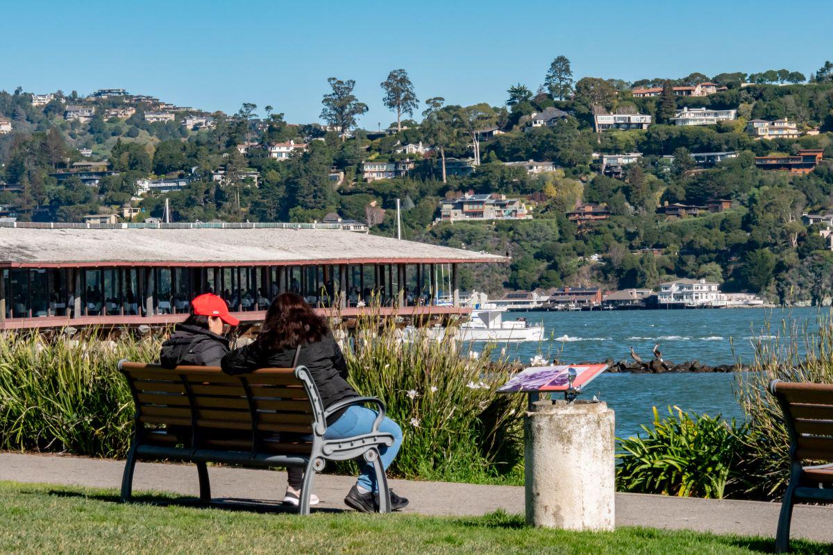 Muir Woods and Sausalito with Bay Cruise - Photo 22