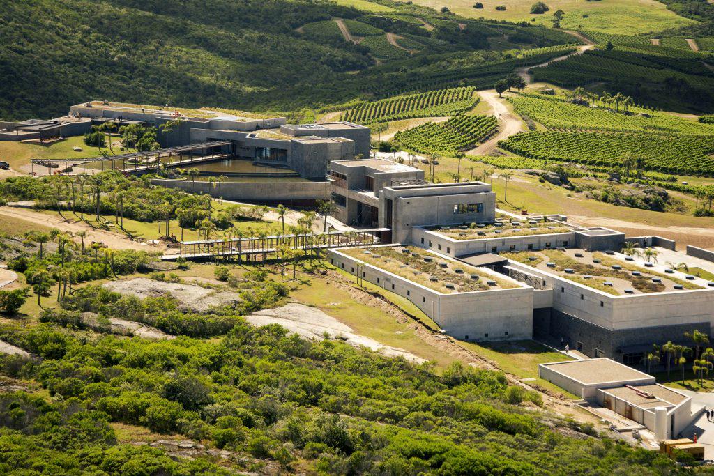 Picnic in the vineyards - Photo 2