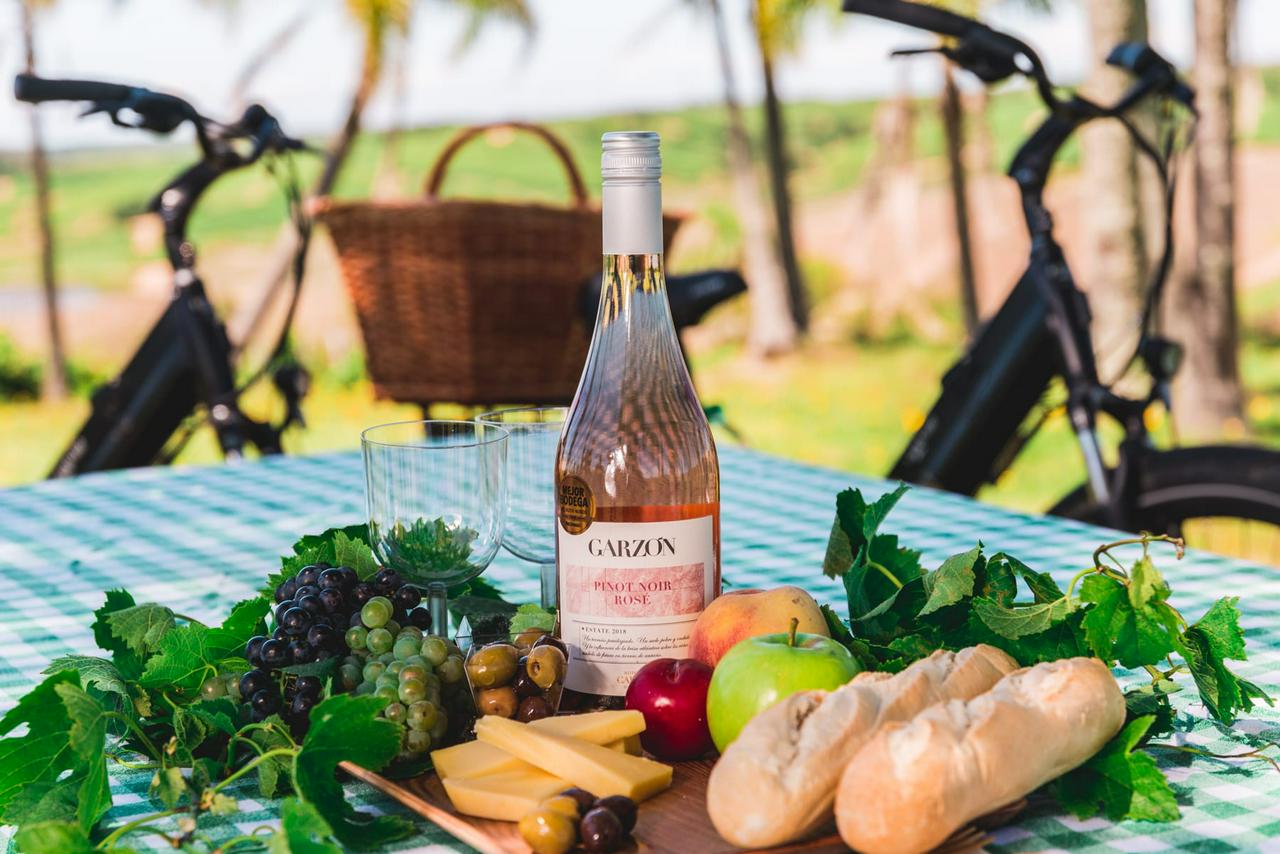 Picnic in the vineyards - Photo 4