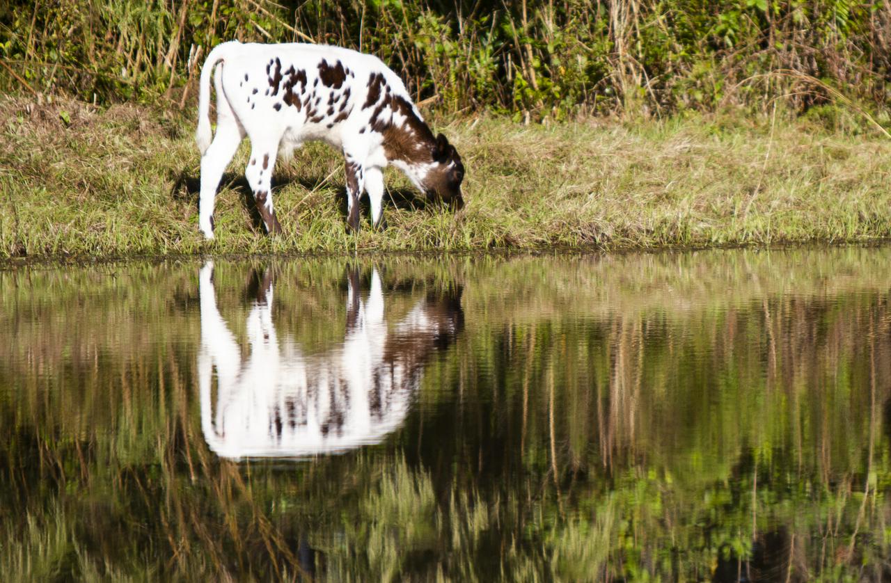 Everglades Tourism and Safari Park in Central Florida - Photo 5