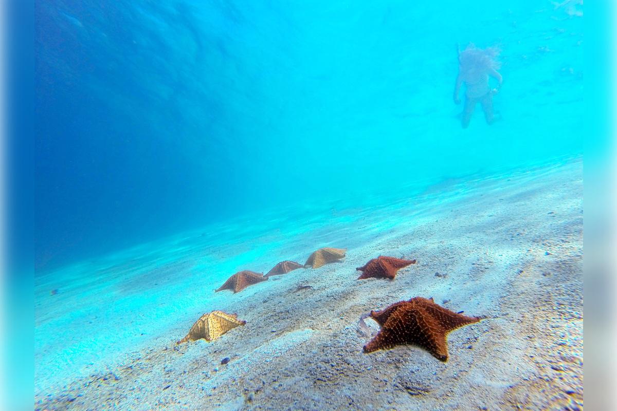 A day in San Blas - Photo 14
