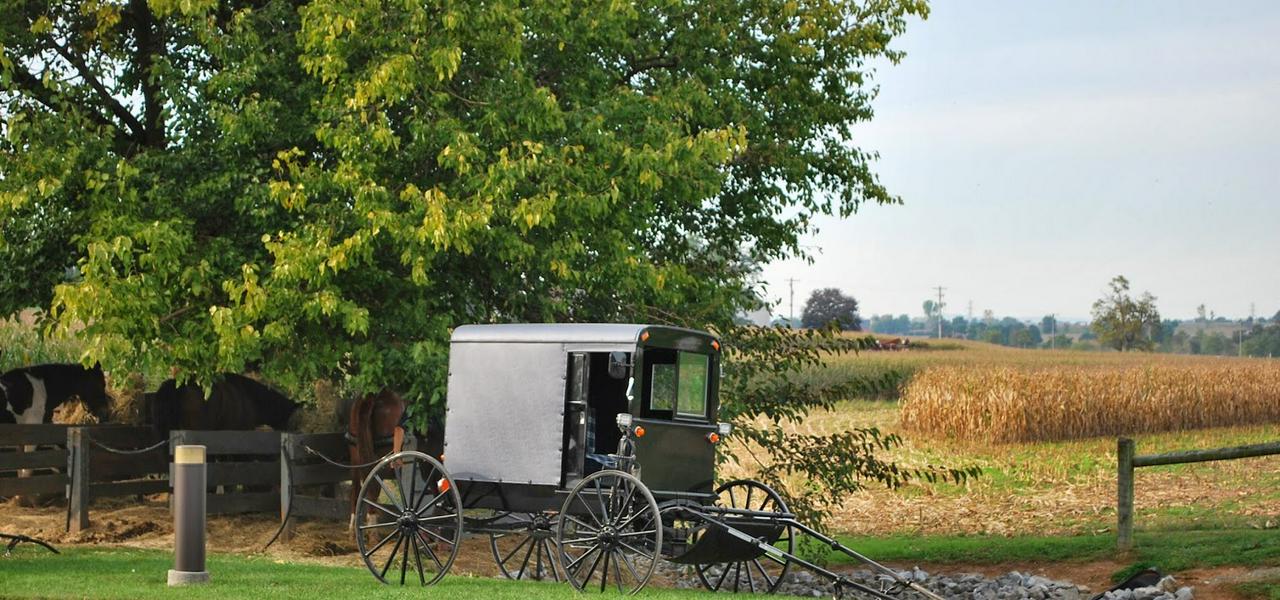 Visita a Filadélfia e Pueblo Amish de 1 día em espanhol - Photo 7