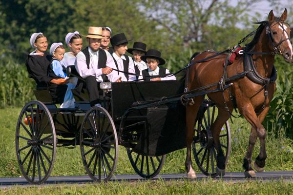 Visita a Filadélfia e Pueblo Amish de 1 día em espanhol - Photo 8