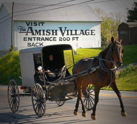Visita a Filadélfia e Pueblo Amish de 1 día em espanhol - Photo 12
